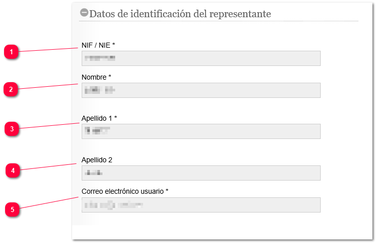 Datos de identificación del representante