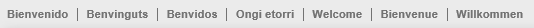 1. Idioma