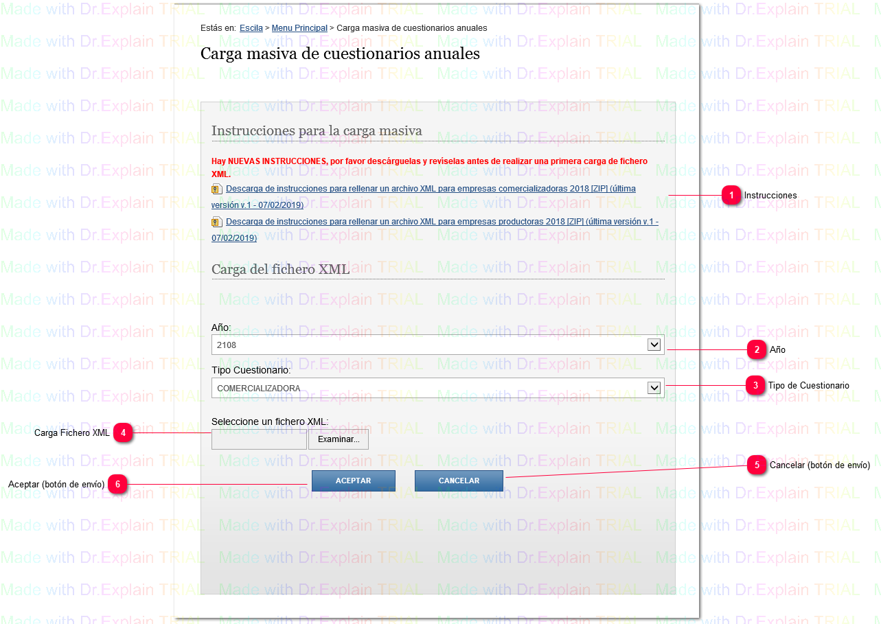 2.3.7 Carga Masiva de Cuestionarios Anuales