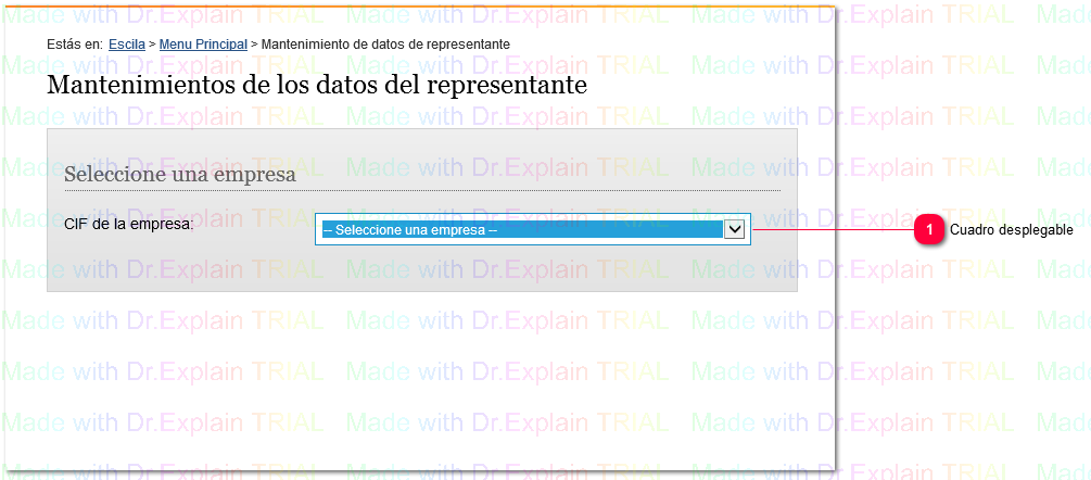 2.3.6 Mantenimientos de los Datos del Representante