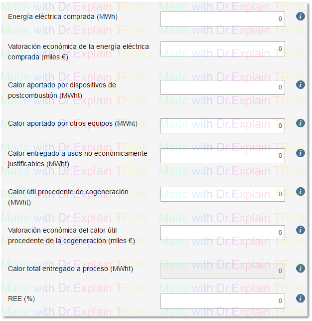 2.3.4.4.1.2 Cuestionario de centrales térmicas de cogeneración