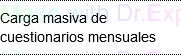 9. Carga Masiva de Cuestionarios Mensuales